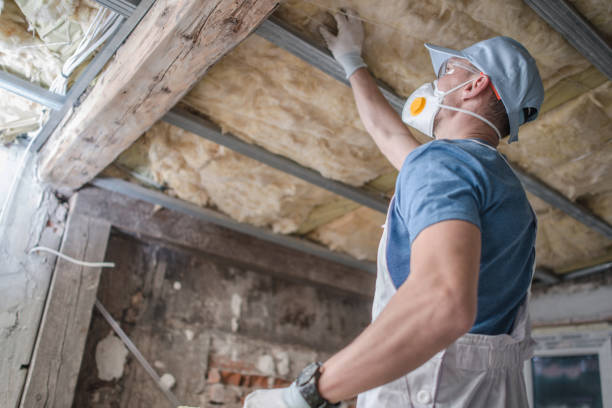 Best Affordable Insulation Services  in Grinnell, IA