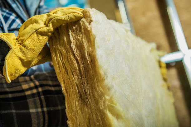 Best Professional Insulation Contractor  in Grinnell, IA