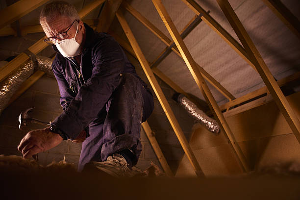 Best Insulation Contractors for Homes  in Grinnell, IA