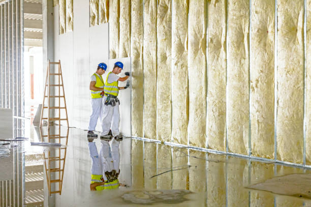 Best Attic Insulation Installation  in Grinnell, IA